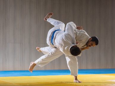 judo